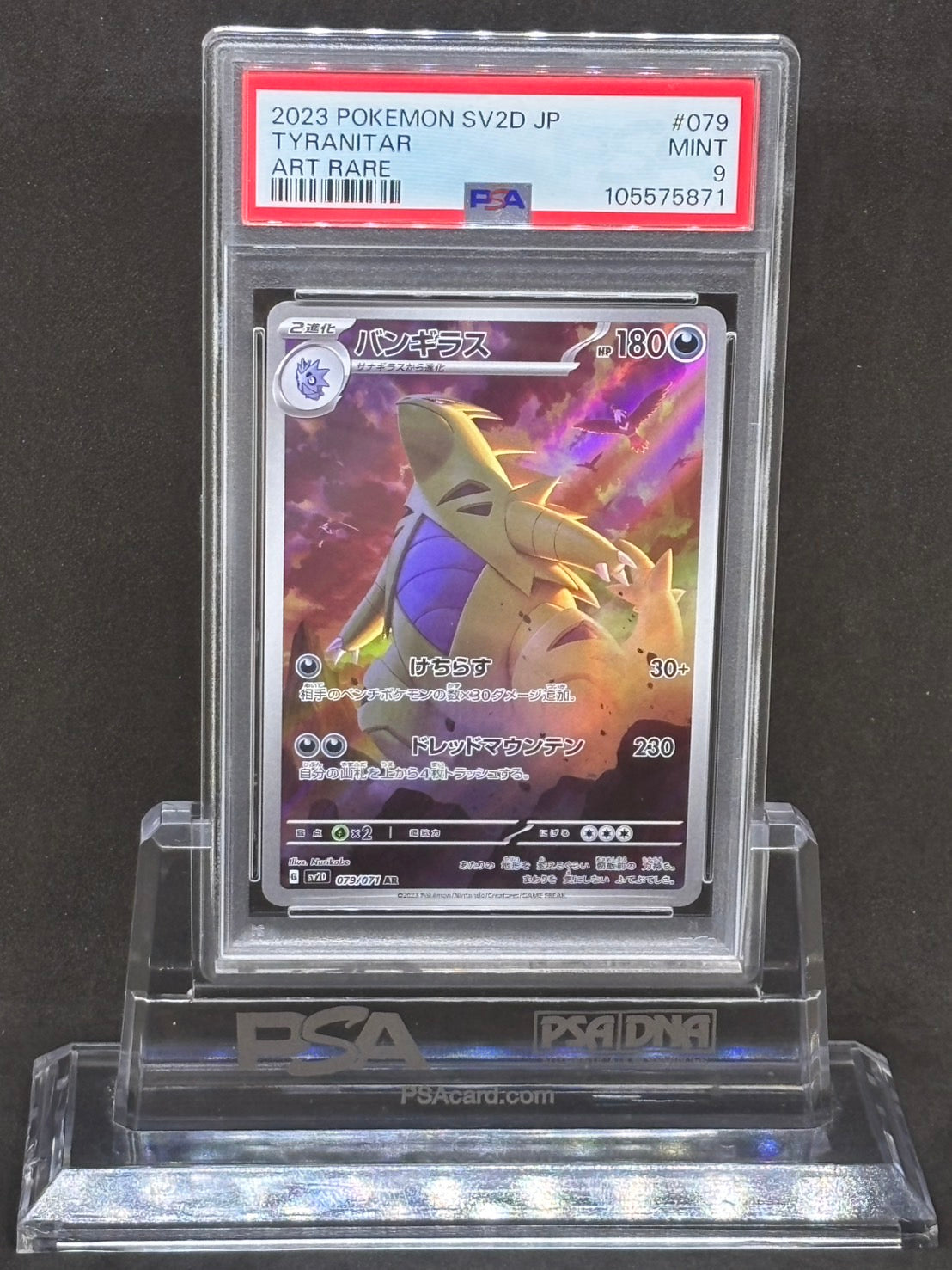 [PSA9]Tyranitar