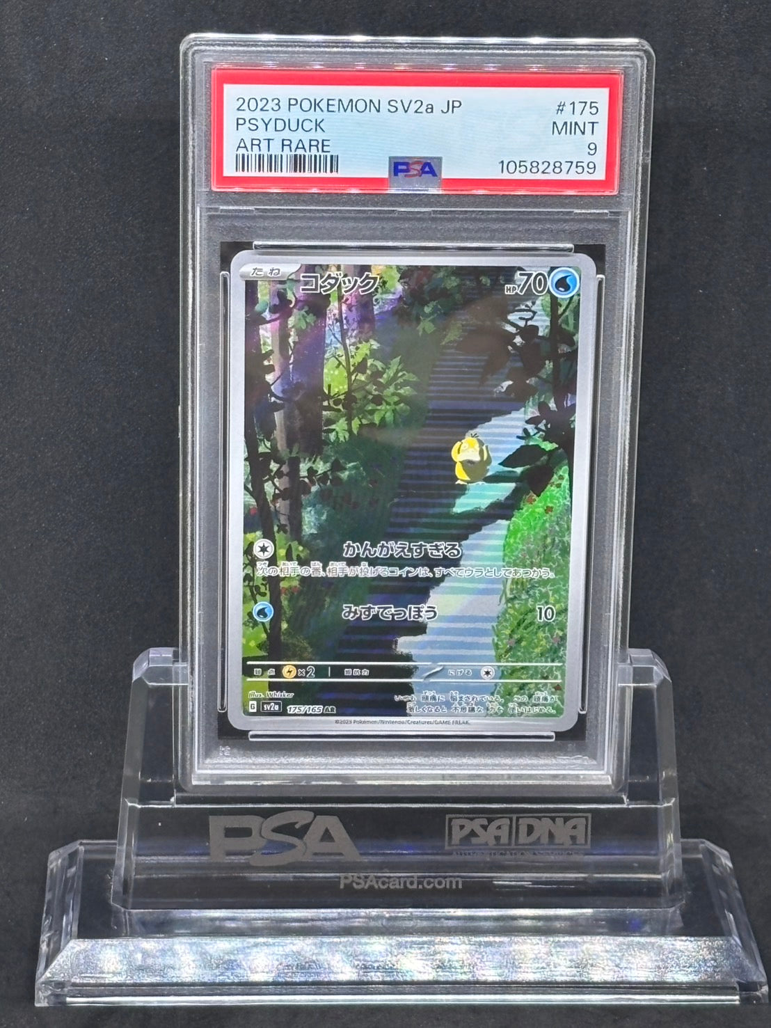 [PSA9]Psyduck