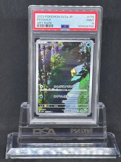 [PSA9]Psyduck