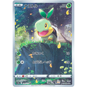 Turtwig