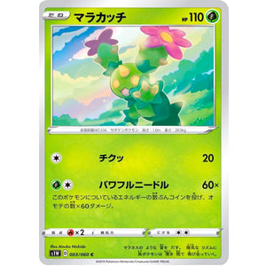 Maractus