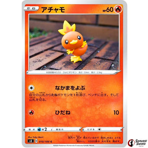 Torchic