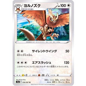 Noctowl