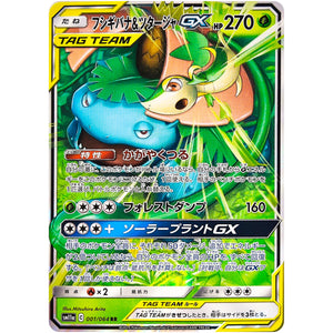 Venusaur & Snivy-GX