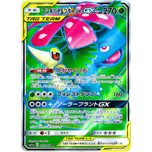 Venusaur & Snivy-GX