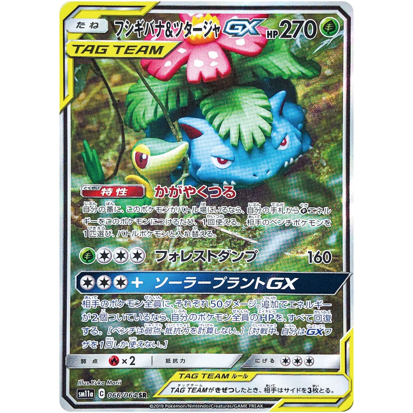 Venusaur & Snivy-GX