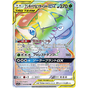 Venusaur & Snivy-GX
