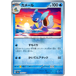 Wartortle Master Ball Mirror Holo