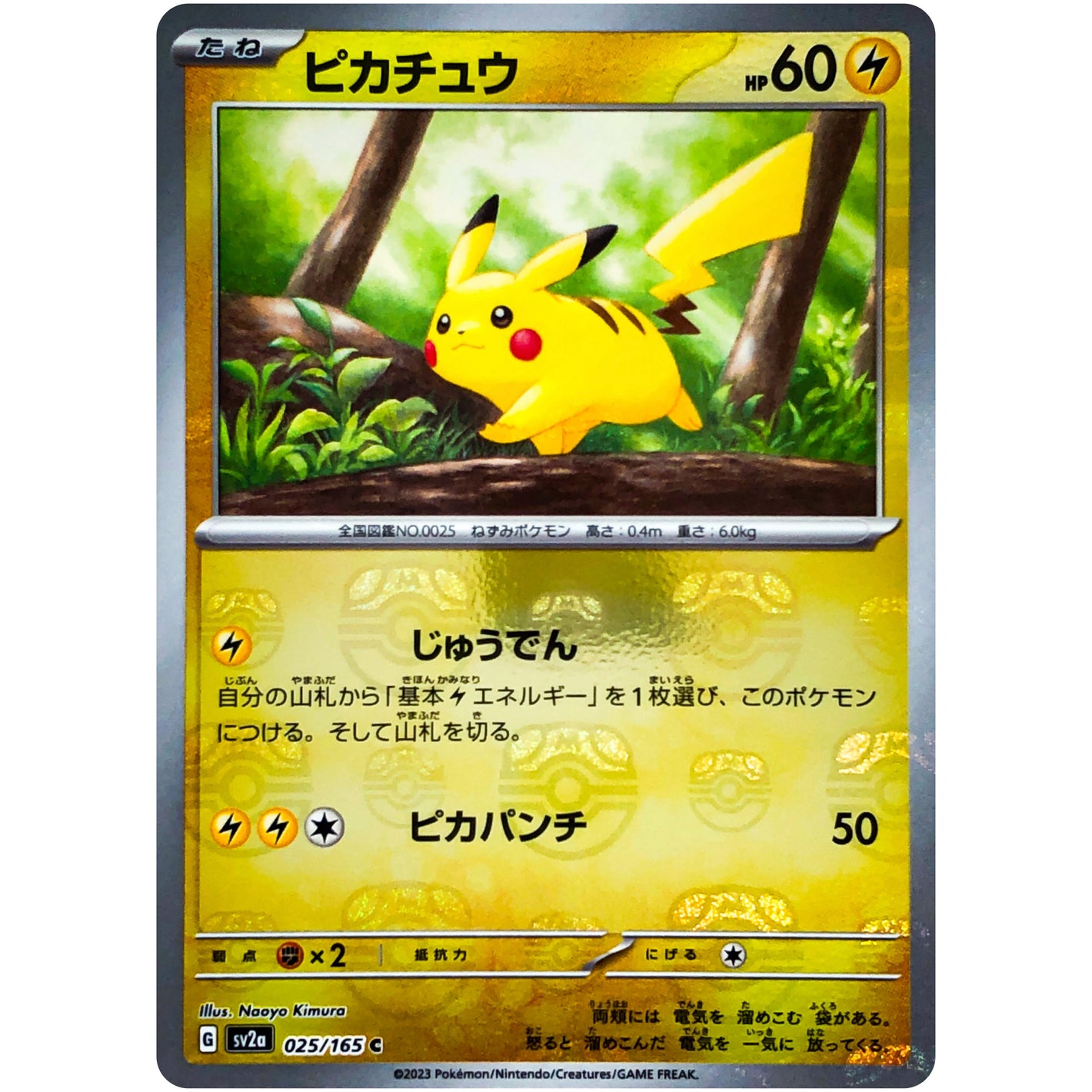 Pikachu Master Ball Mirror Holo