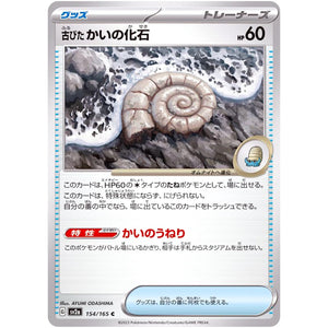 Antique Helix Fossil