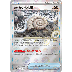 Antique Helix Fossil Mirror Holo