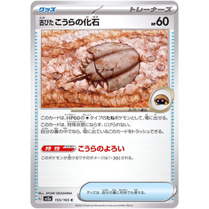 Antique Dome Fossil