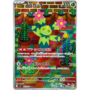 Maractus(AR)[SV9]{101/100}